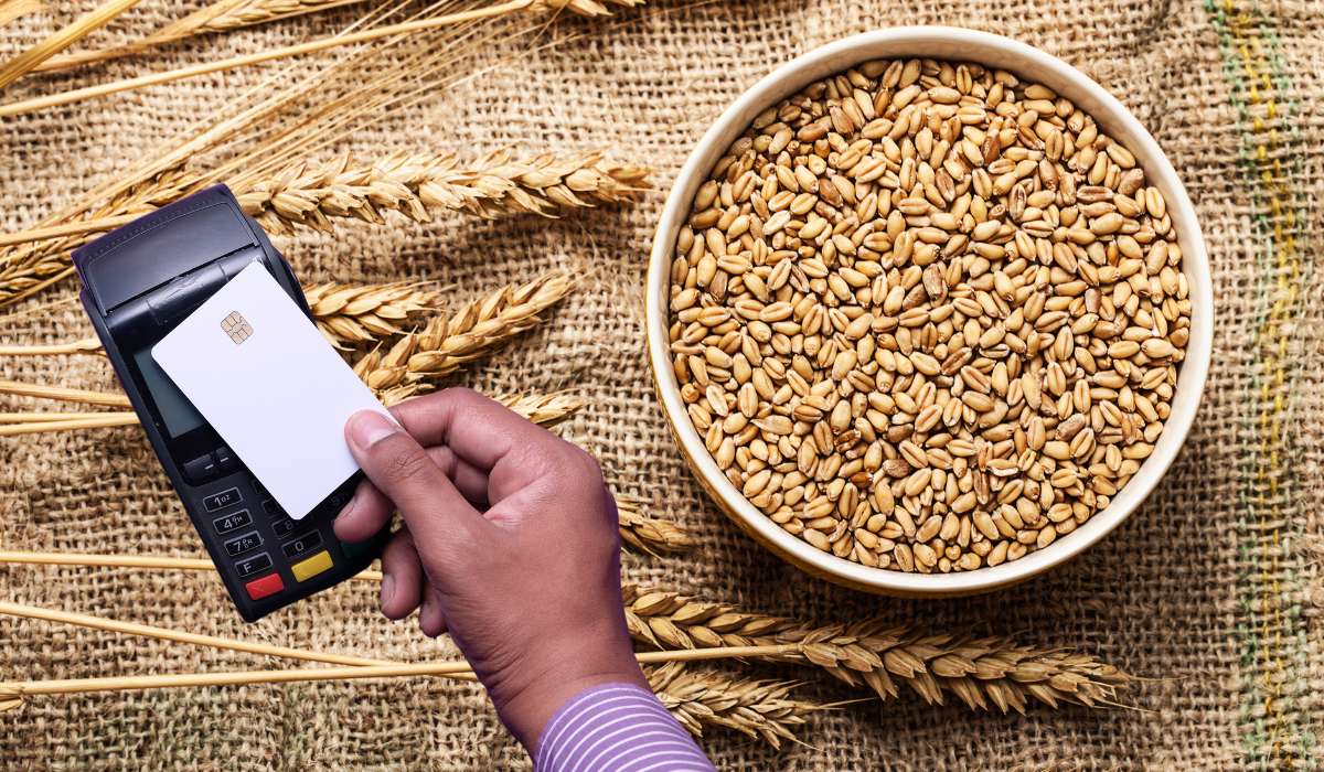 Où acheter du blé pour faire sa farine ?