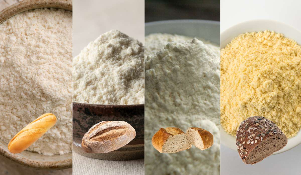 Quelle farine de blé pour faire du pain ?