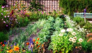 5 conseils pour l’aménagement de votre potager en permaculture
