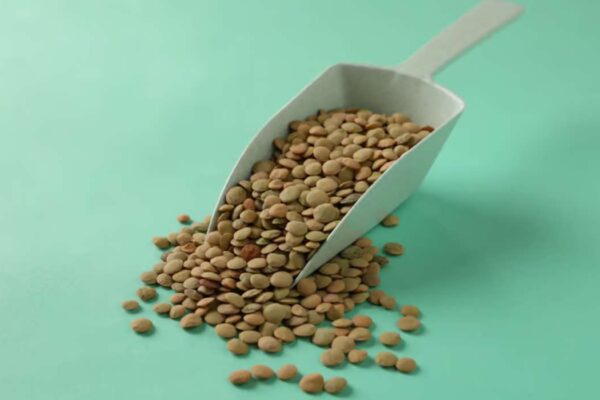 Combien de protéines dans 100 g de lentilles ? Cru ou cuit, ça change tout