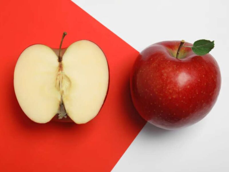 Nutrition & Santé
