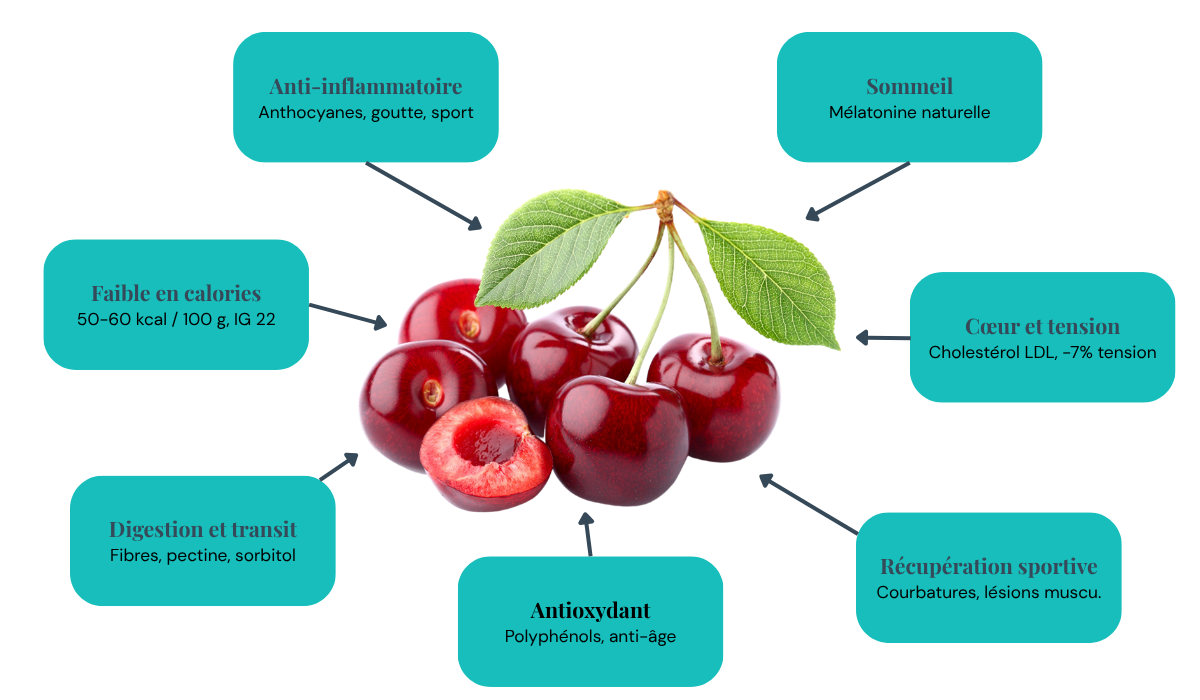 quels sont les bienfaits de la cerise