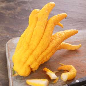 Main de bouddah - fruit exotique orange