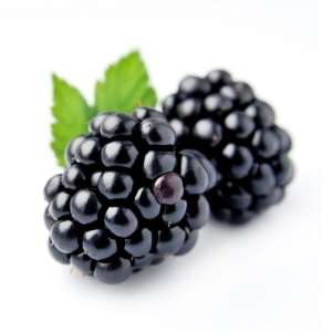 Mure noire riche en fer
