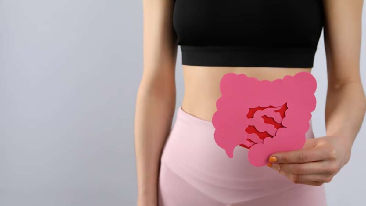 Quels sont les effets de la glutamine sur l'intestin