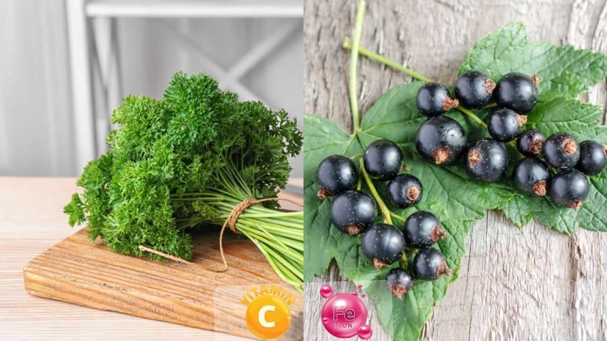 aliment riche en vitamine c et fer