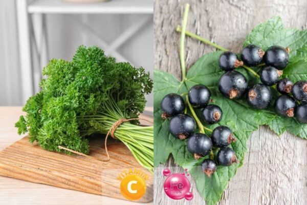Aliment riche en vitamine C et fer : le combo à connaître pour ta forme