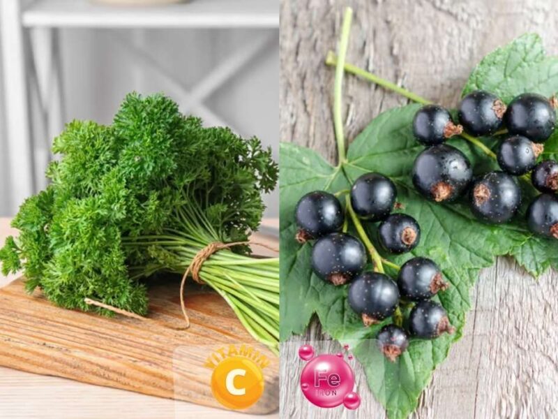 Nutrition & Santé