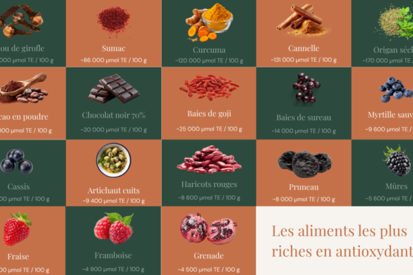 Quels aliments sont les plus riches en antioxydants ?