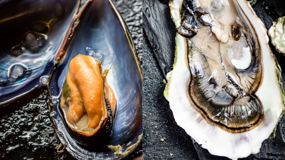 aliments riches en iode et zinc