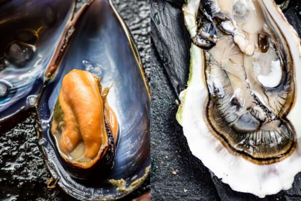Quels aliments sont riches en iode et en zinc ?