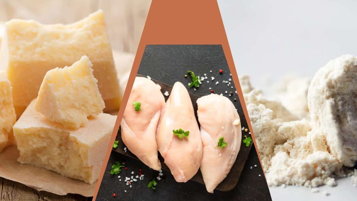 aliments riches en leucine