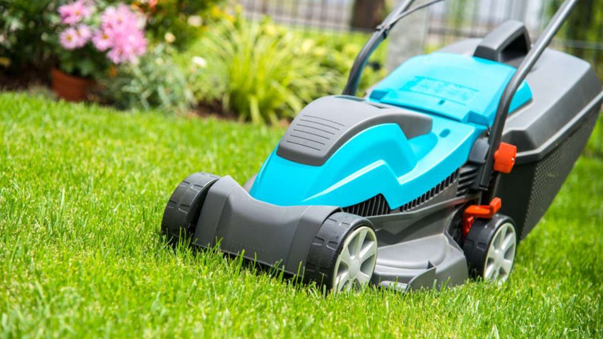 Créer un coin d’intimité dans son jardin