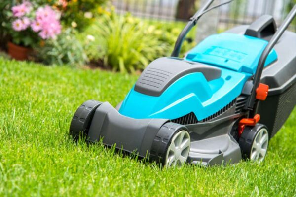 Créer un coin d’intimité dans son jardin : idées et conseils pratiques