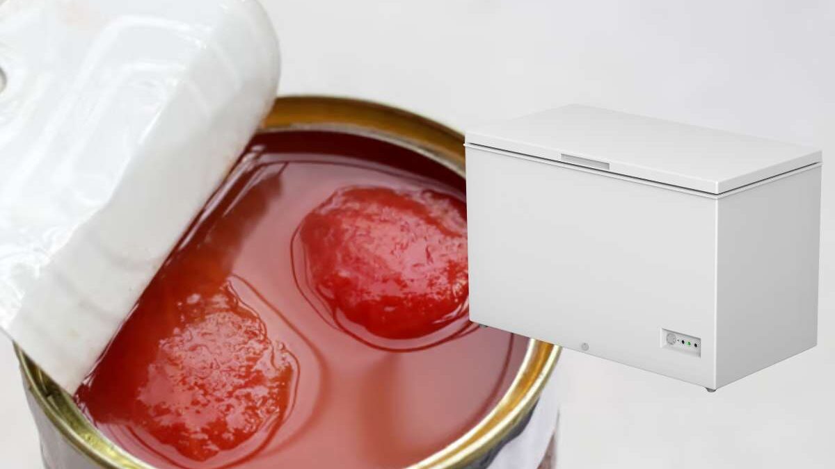 peut on congeler des tomates en conserve